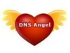DNS Angel